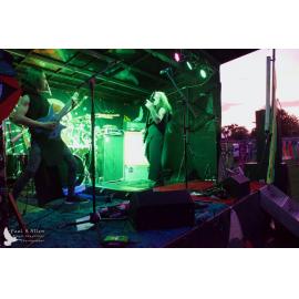 Waitati Music Festival by Paul S Allen: Ayamvoid