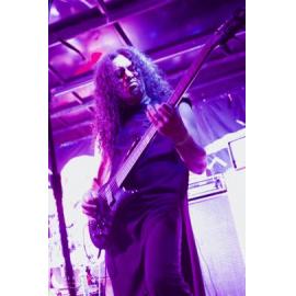 Waitati Music Festival by Paul S Allen: Ayamvoid