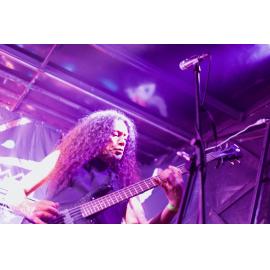 Waitati Music Festival by Paul S Allen: Ayamvoid