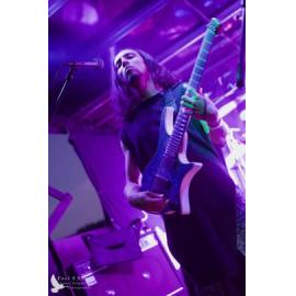 Waitati Music Festival by Paul S Allen: Ayamvoid