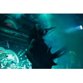 Waitati Music Festival by Paul S Allen: Ayamvoid