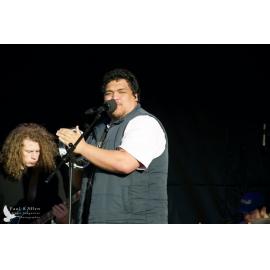 Waitati Music Festival by Paul S Allen: Black-Sale House