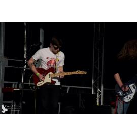 Waitati Music Festival by Paul S Allen: Black-Sale House