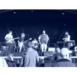 Waitati Music Festival by Paul S Allen: Black-Sale House