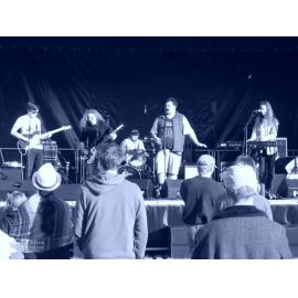 Waitati Music Festival by Paul S Allen: Black-Sale House