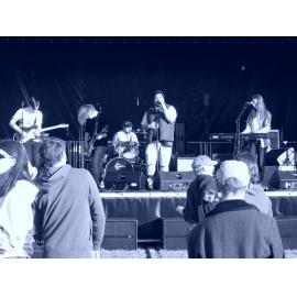 Waitati Music Festival by Paul S Allen: Black-Sale House