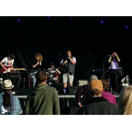 Waitati Music Festival by Paul S Allen: Black-Sale House