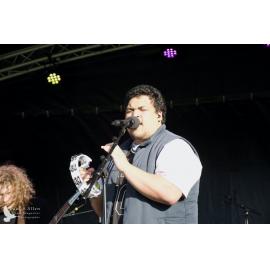 Waitati Music Festival by Paul S Allen: Black-Sale House