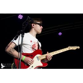 Waitati Music Festival by Paul S Allen: Black-Sale House