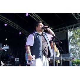 Waitati Music Festival by Paul S Allen: Black-Sale House