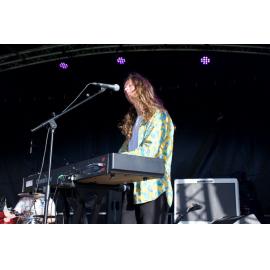 Waitati Music Festival by Paul S Allen: Black-Sale House