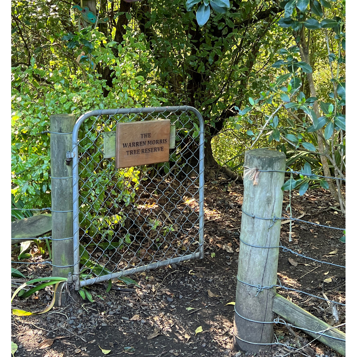 Interview with Tama Parker and Nikau Morand, Portobello Primary School