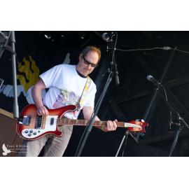 Waitati Music Festival by Paul S Allen: Chemical Damage