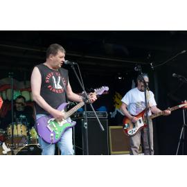Waitati Music Festival by Paul S Allen: Chemical Damage
