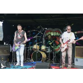 Waitati Music Festival by Paul S Allen: Chemical Damage