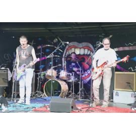 Waitati Music Festival by Paul S Allen: Chemical Damage