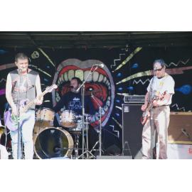 Waitati Music Festival by Paul S Allen: Chemical Damage