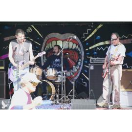 Waitati Music Festival by Paul S Allen: Chemical Damage