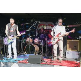 Waitati Music Festival by Paul S Allen: Chemical Damage