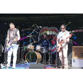 Waitati Music Festival by Paul S Allen: Chemical Damage