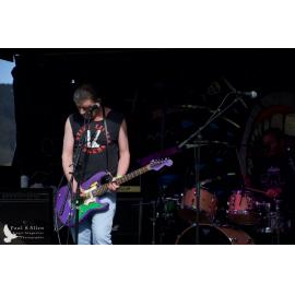 Waitati Music Festival by Paul S Allen: Chemical Damage