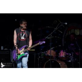 Waitati Music Festival by Paul S Allen: Chemical Damage