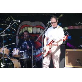 Waitati Music Festival by Paul S Allen: Chemical Damage