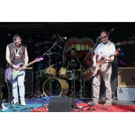 Waitati Music Festival by Paul S Allen: Chemical Damage