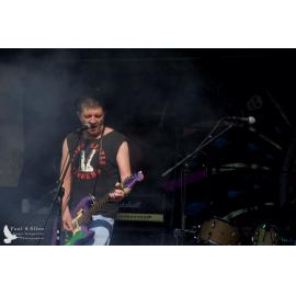 Waitati Music Festival by Paul S Allen: Chemical Damage