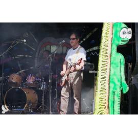 Waitati Music Festival by Paul S Allen: Chemical Damage