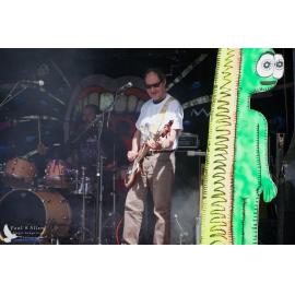 Waitati Music Festival by Paul S Allen: Chemical Damage