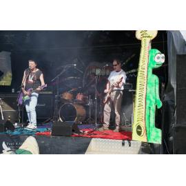 Waitati Music Festival by Paul S Allen: Chemical Damage