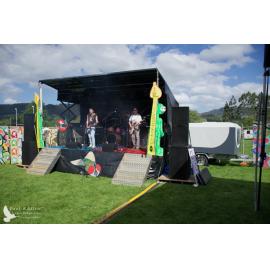 Waitati Music Festival by Paul S Allen: Chemical Damage