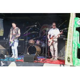 Waitati Music Festival by Paul S Allen: Chemical Damage