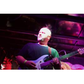 Waitati Music Festival by Paul S Allen: FOTA