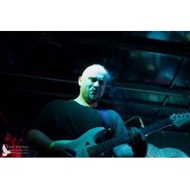 Waitati Music Festival by Paul S Allen: FOTA