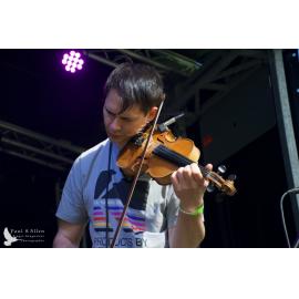 Waitati Music Festival by Paul S Allen: FOTA