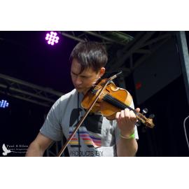 Waitati Music Festival by Paul S Allen: FOTA