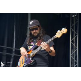 Waitati Music Festival by Paul S Allen: FOTA