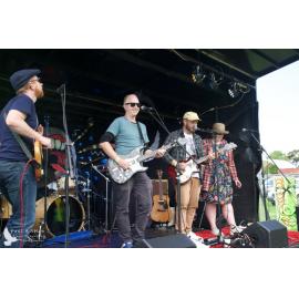 Waitati Music Festival by Paul S Allen: The Mentalist Collective