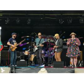 Waitati Music Festival by Paul S Allen: The Mentalist Collective