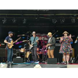 Waitati Music Festival by Paul S Allen: The Mentalist Collective