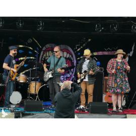 Waitati Music Festival by Paul S Allen: The Mentalist Collective