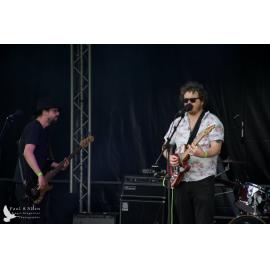 Waitati Music Festival by Paul S Allen: Bo and the Constrictors