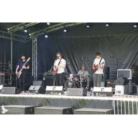 Waitati Music Festival by Paul S Allen: Bo and the Constrictors