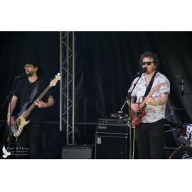 Waitati Music Festival by Paul S Allen: Bo and the Constrictors