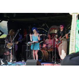 Waitati Music Festival by Paul S Allen: Human Susan