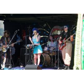 Waitati Music Festival by Paul S Allen: Human Susan