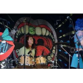 Waitati Music Festival by Paul S Allen: Human Susan