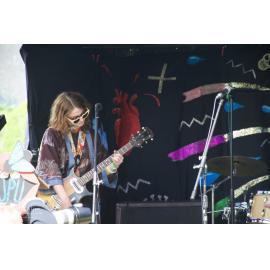 Waitati Music Festival by Paul S Allen: Human Susan